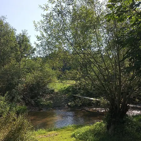 Za Swierkami