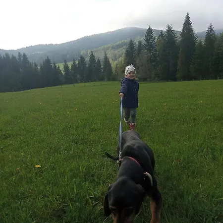 Za Swierkami Διαμέρισμα *