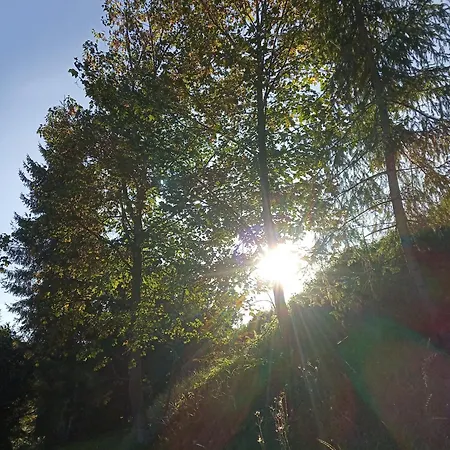 Za Swierkami Appartamento Tylicz