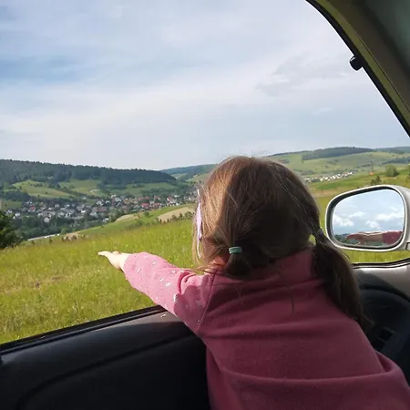 Za Swierkami Daire Tylicz