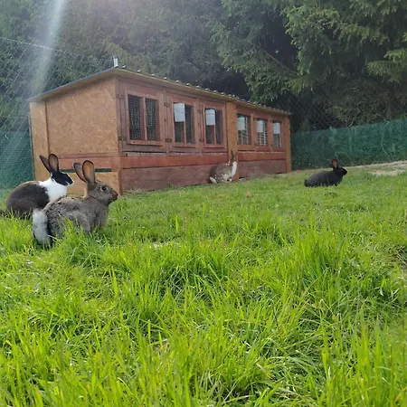 Za Swierkami Appartamento